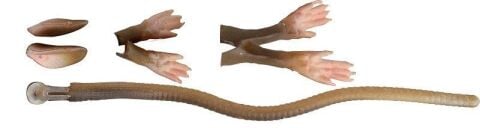 Savage gear LB 3D Rad Maintenance Kit 20 cm Brown Sahte Balık
